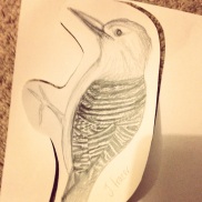 Bird, drawn by me!